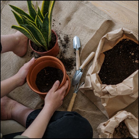 How to Manage Stress Through Creative Expression and Hobbies