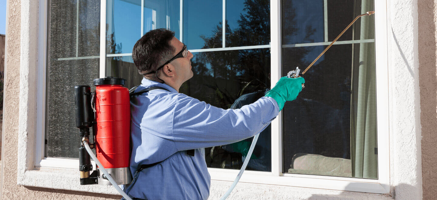 Effective Solutions for Pest Control in the City of Brampton